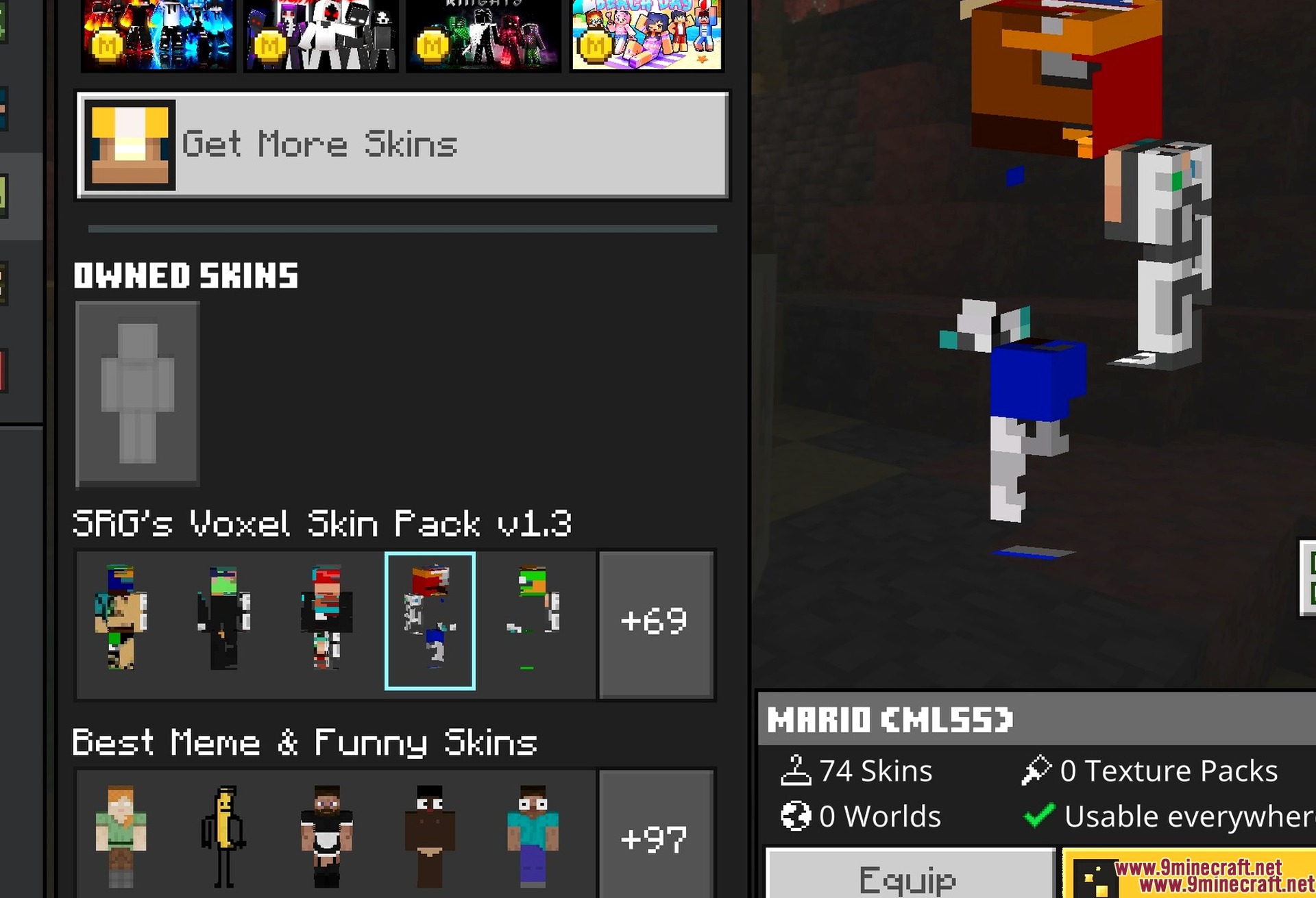 Random Meme Skin Pack Screenshot 5 A fourth skin from the set