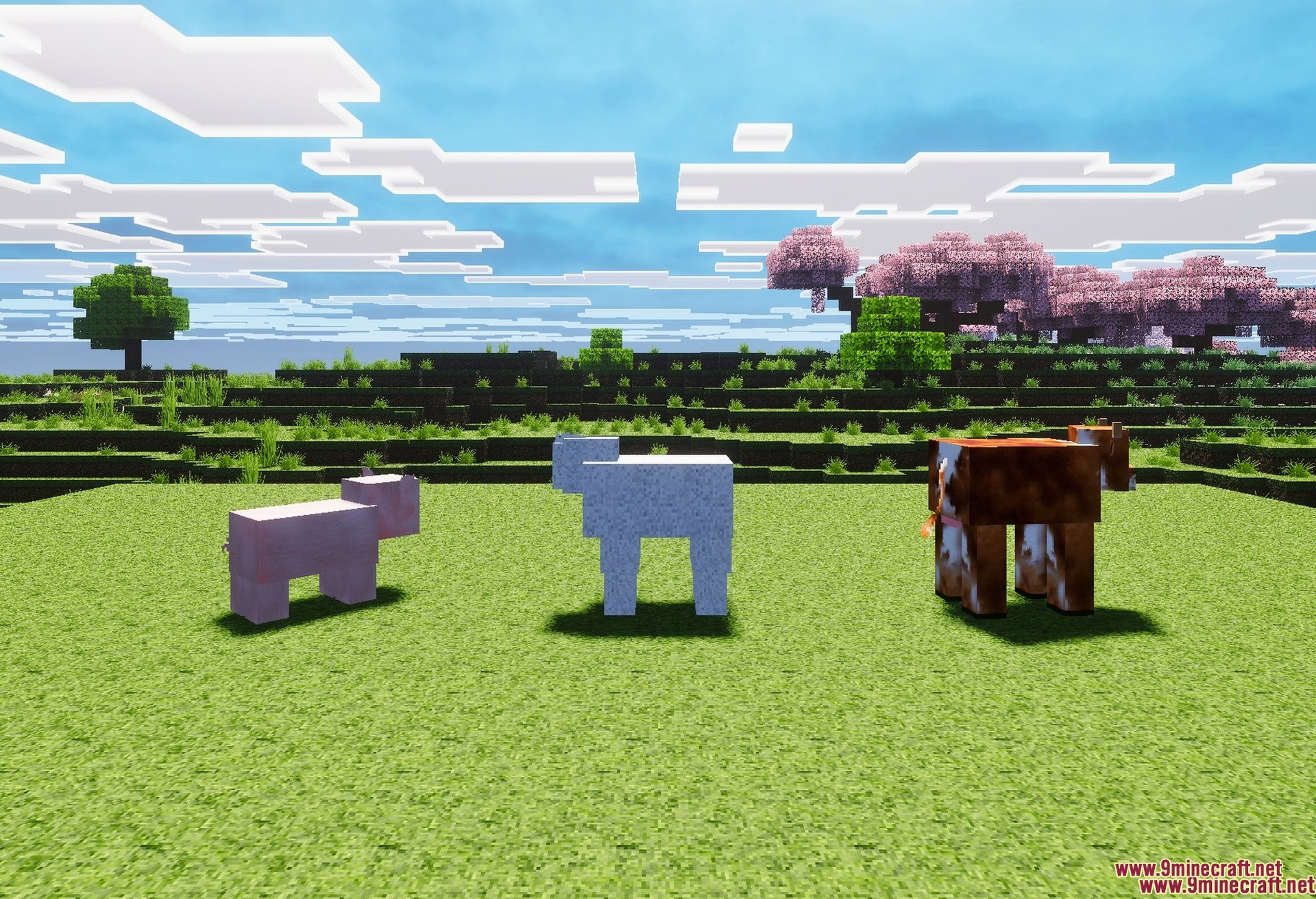 RealSource Realistic Texture Pack Screenshot 1 Farm animals with the realistic textures applied