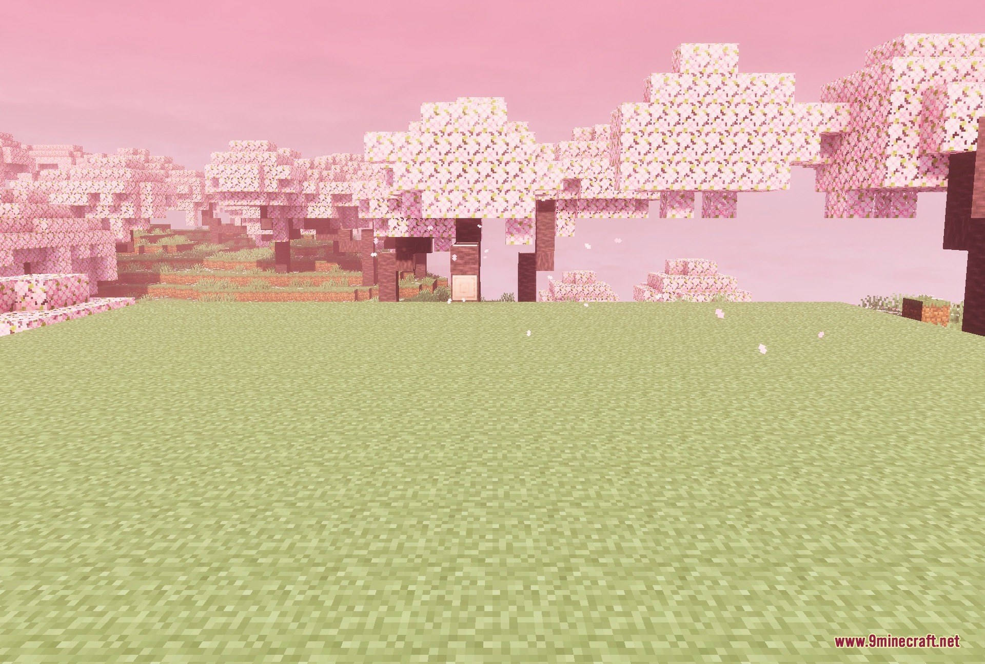 Revolution Vibrant Visuals Static Light Texture Pack Screenshot 1 Soft static lighting across the landscape