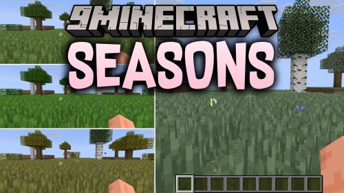 Seasons thumbnail