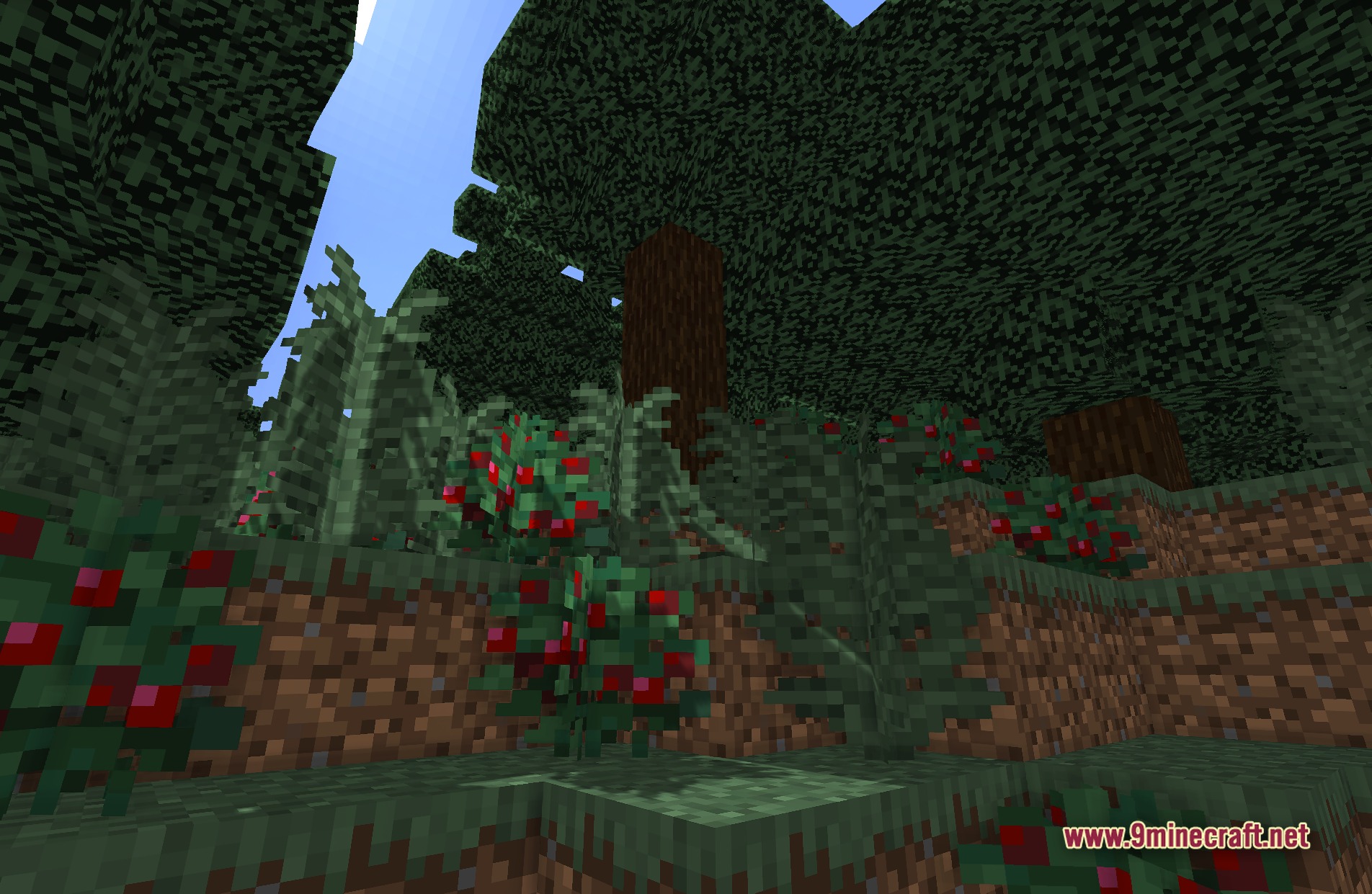 Sildur's Enhanced Default Shaders Screenshot 2