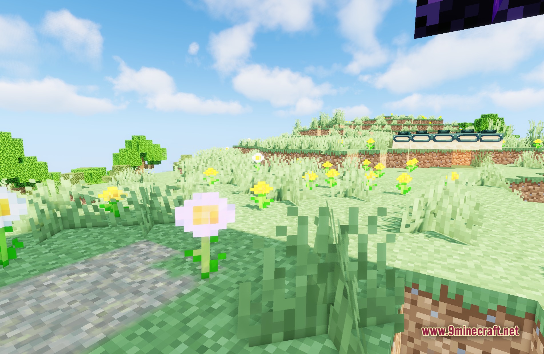 Sildur's Vibrant Shaders Screenshot 2