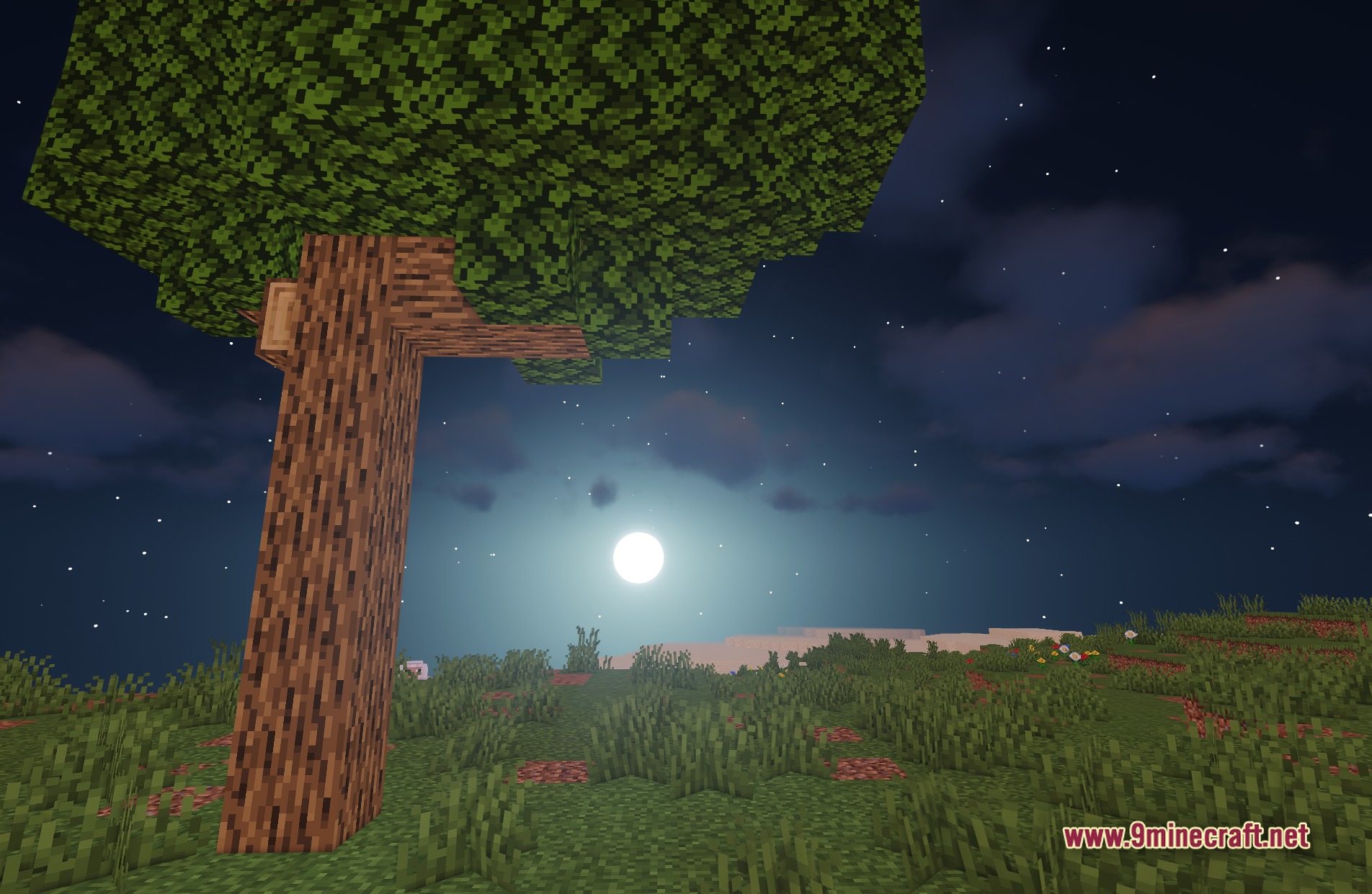Sildur's Vibrant Shaders Screenshot 4