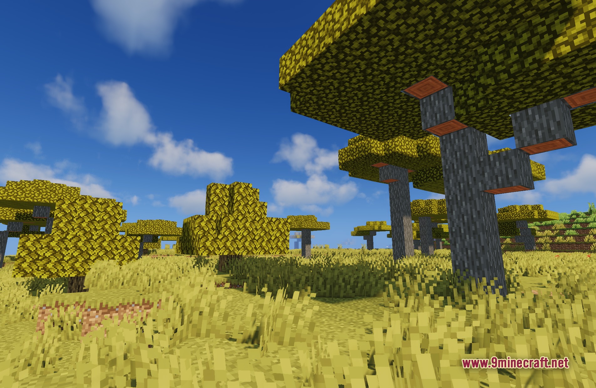 Sildur's Vibrant Shaders Screenshot 5