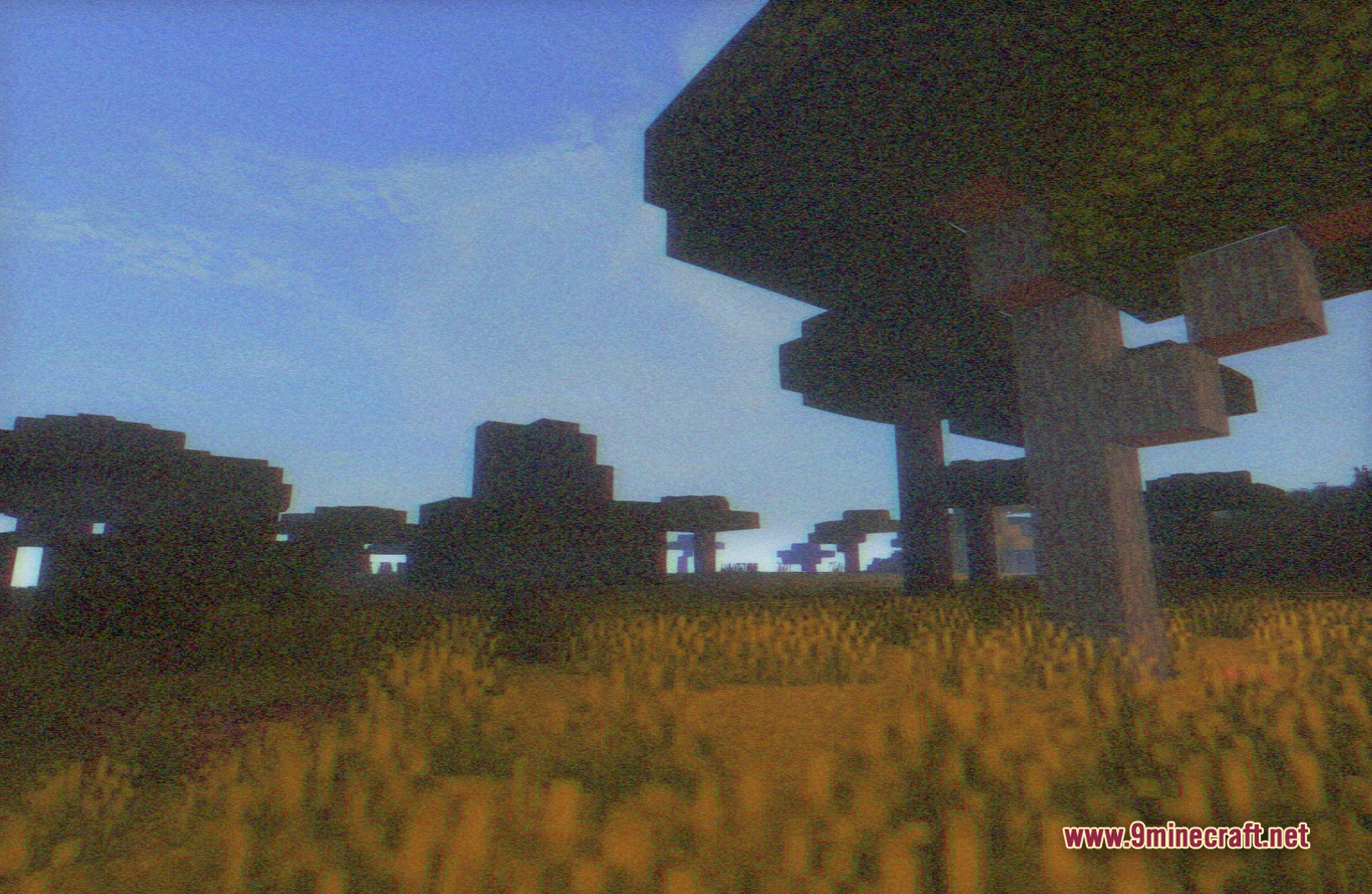 Soft Memory Shaders Screenshot 8
