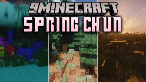 Spring Chun Shaders