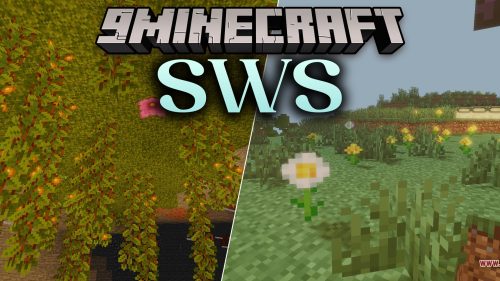 SWS Shaders