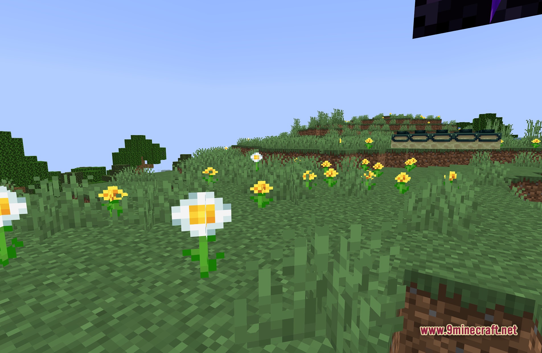 TAA Project Shaders Screenshot 1