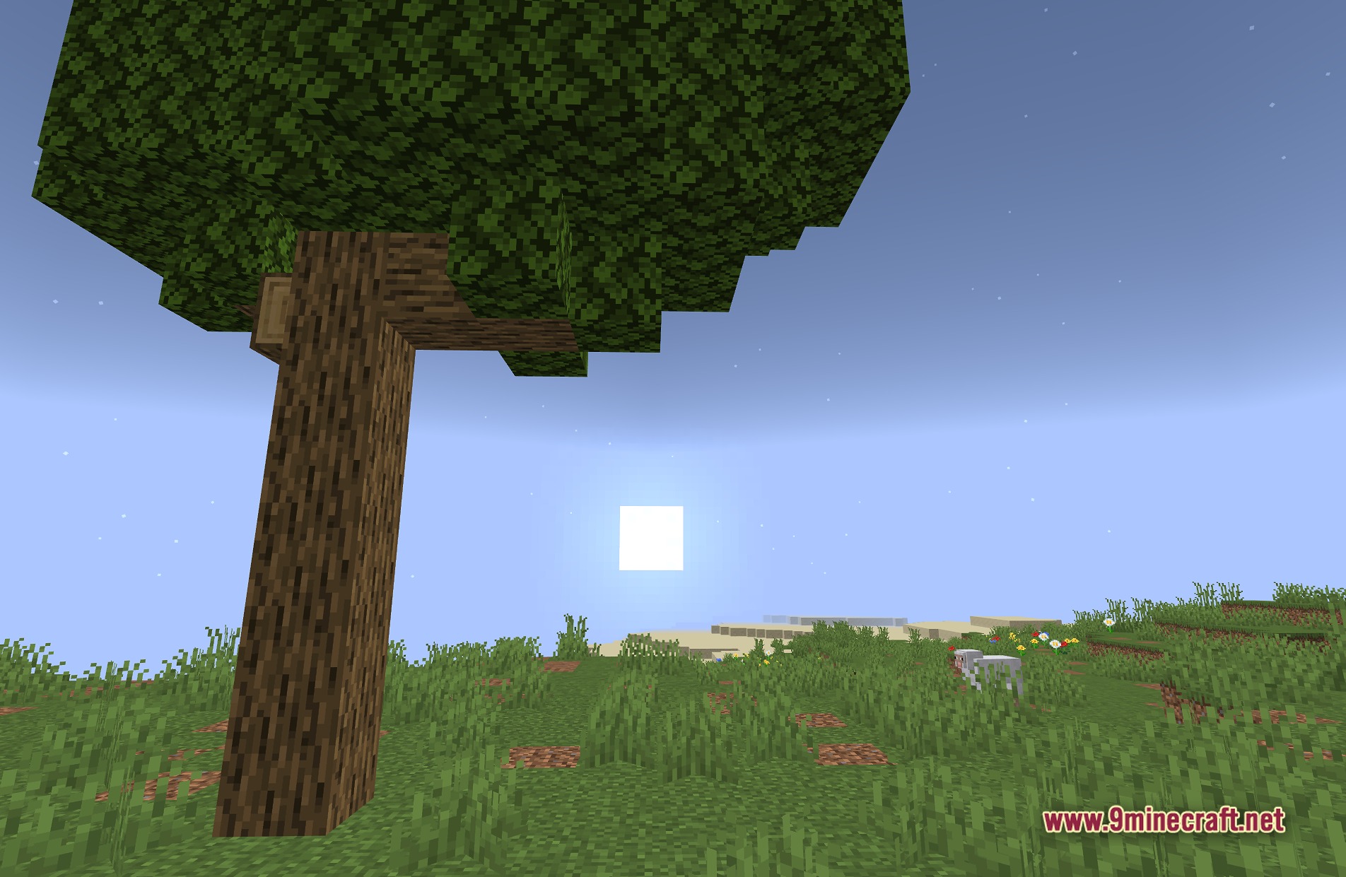 TAA Project Shaders Screenshot 6