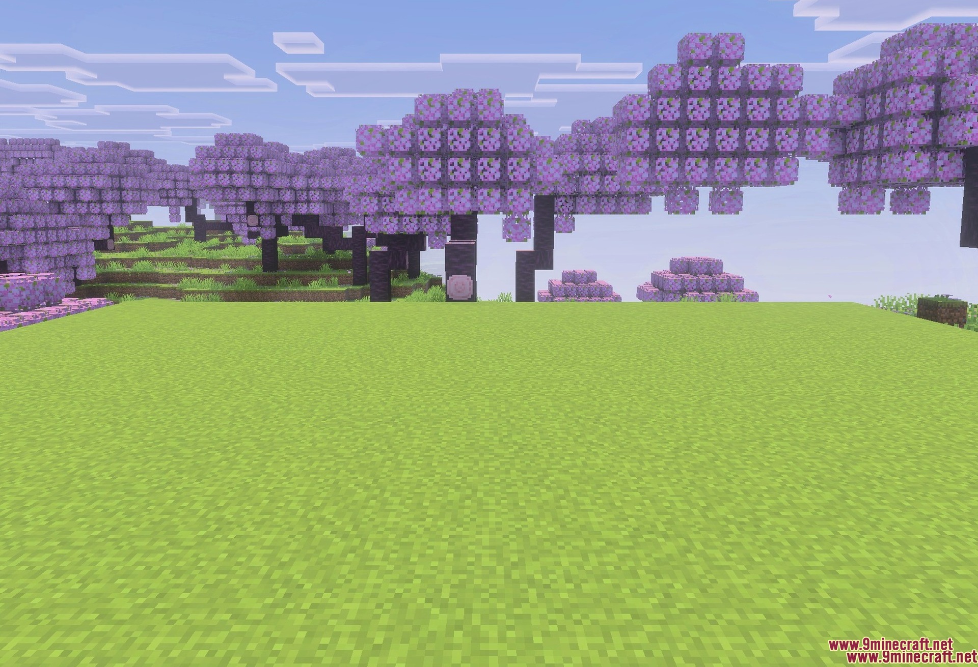 Trees Plus+ Better Texture Pack Screenshot 2 The leaf and log blocks the pack changes
