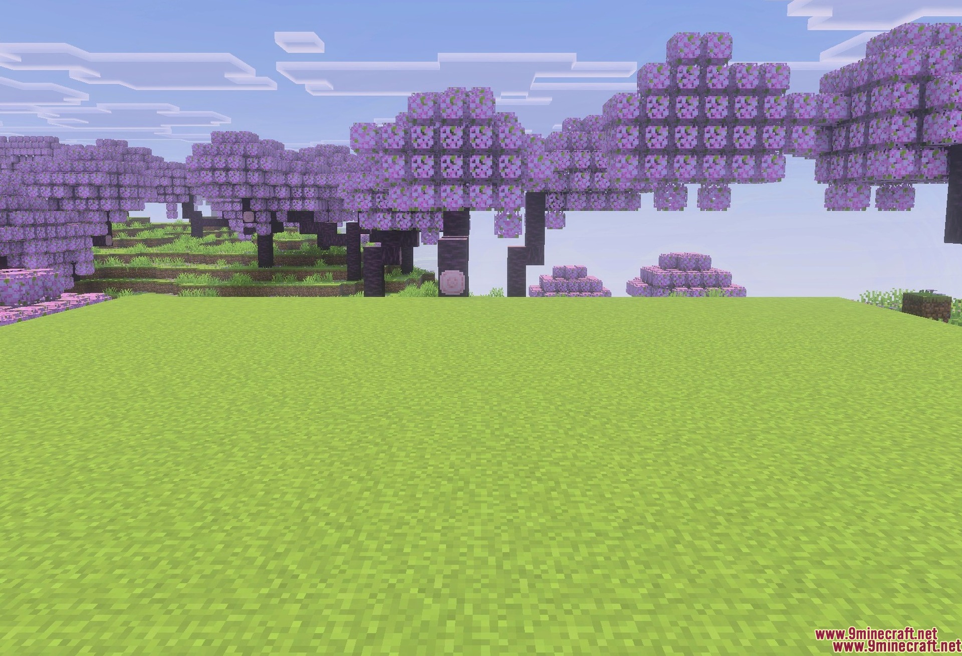 Trees Plus+ Better Texture Pack Screenshot 4 Grass and ferns with the new artwork