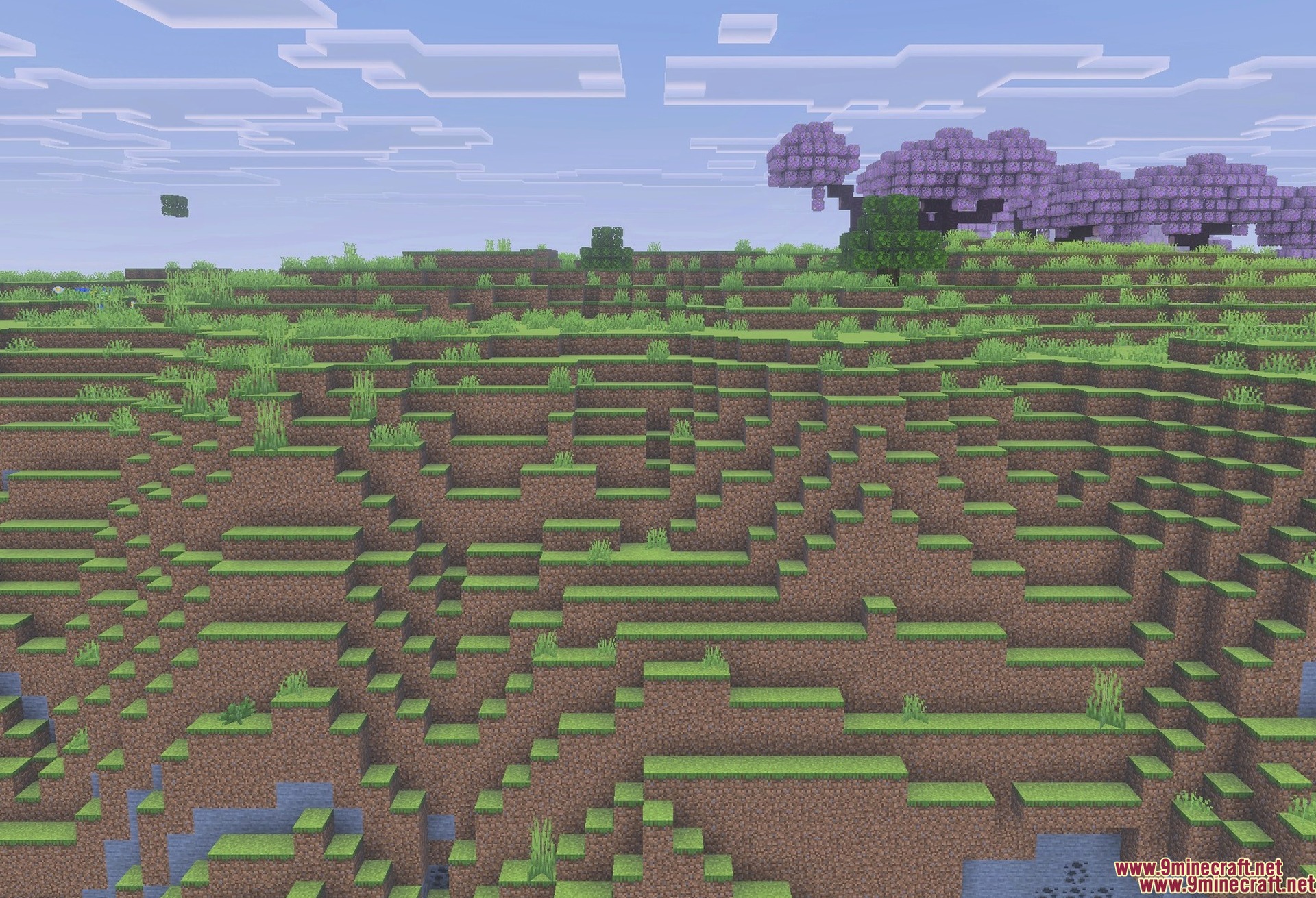 Trees Plus+ Better Texture Pack Screenshot 5 The ground cover seen close up
