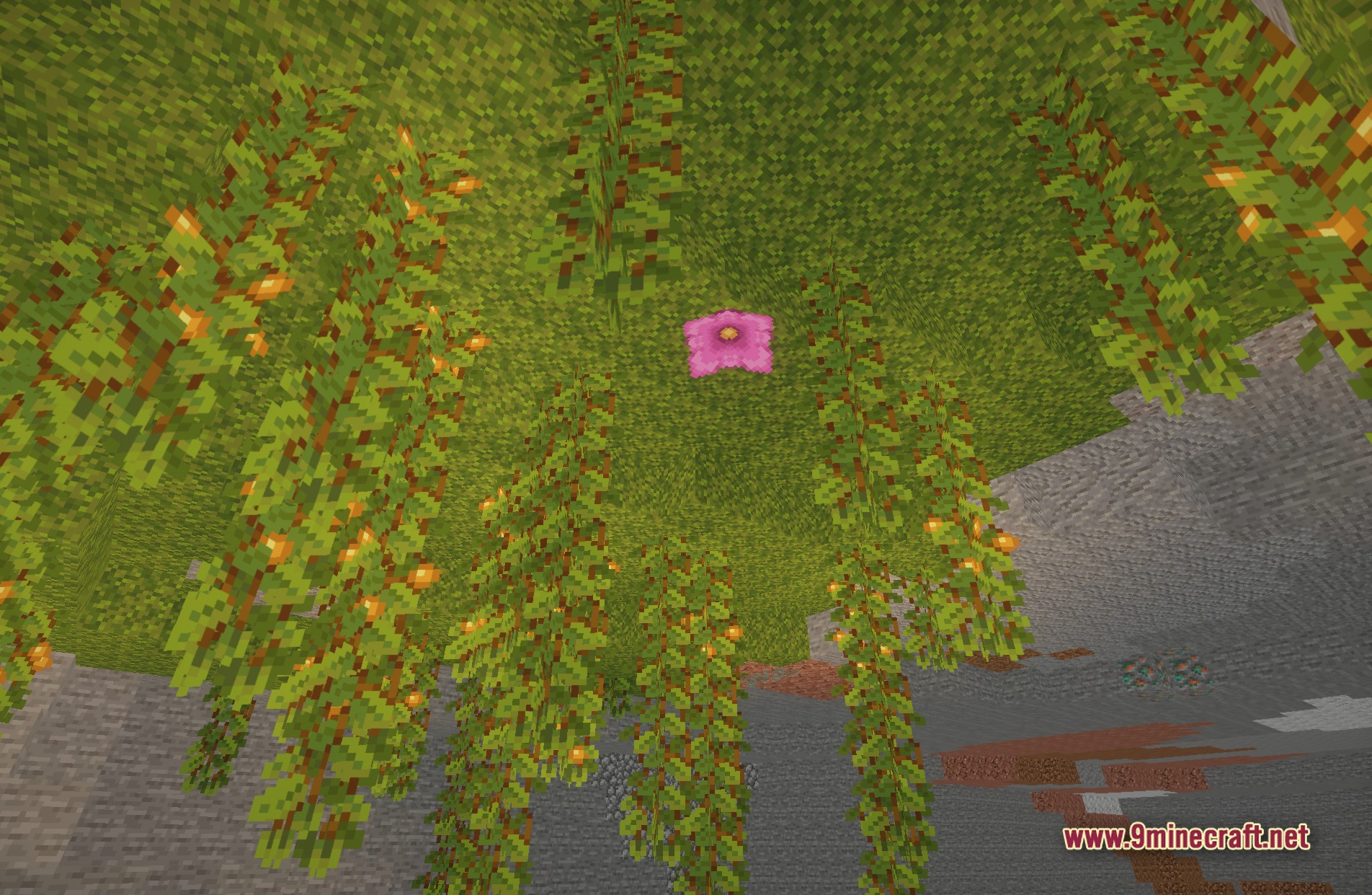 Tricked Shaders Screenshot 10