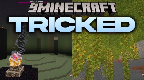 Tricked Shaders