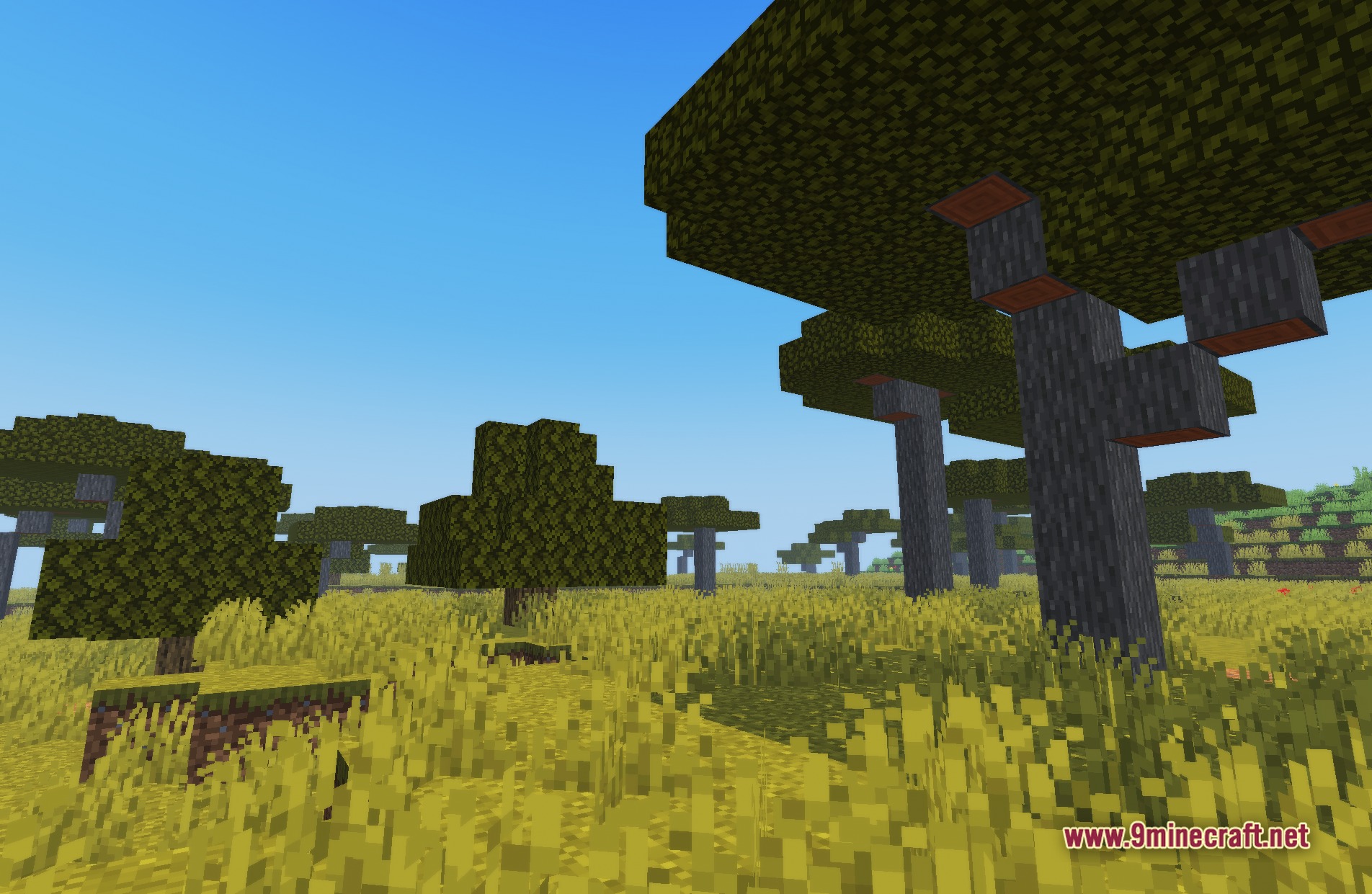 TrueLightFX Lite Shaders Screenshot 1