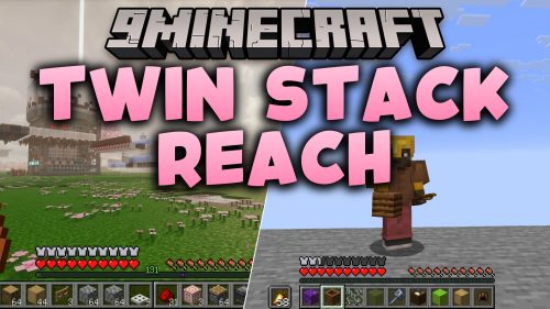Twin Stack Reach thumbnail