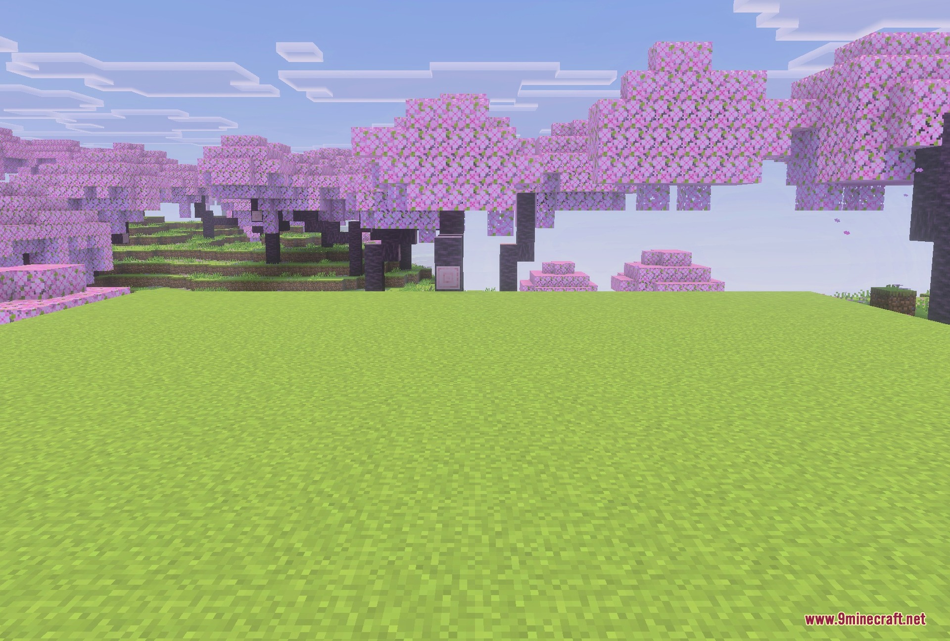 Health markers above hostile mobs