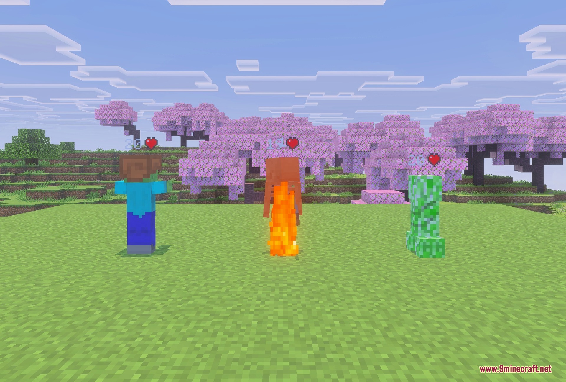 Block textures the pack redraws