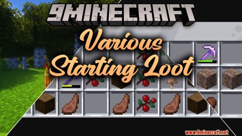 Various Starting Loot thumbnail