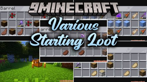 Various Starting Loot thumbnail