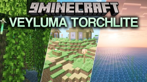 Veyluma TorchLite Shaders