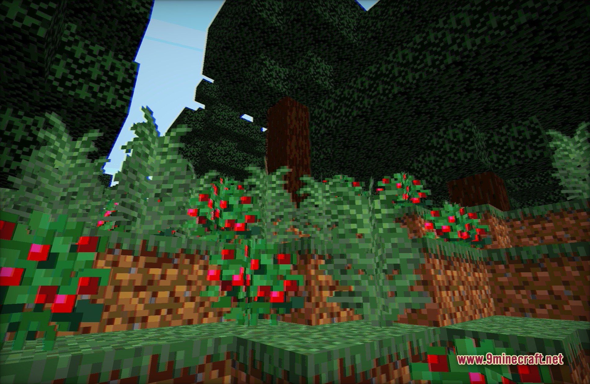 Vintage Shaders Screenshot 2