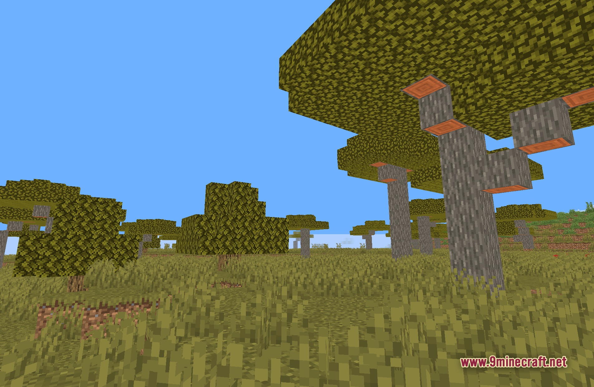 Visible Invisibility Shaders Screenshot 1