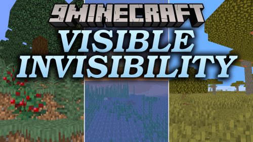 Visible Invisibility Shaders
