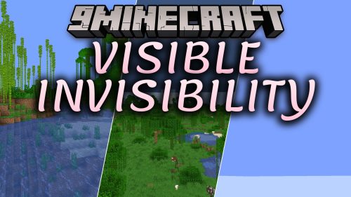 Visible Invisibility Shaders