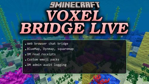 Voxel Bridge Live thumbnail