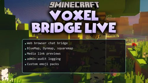 Voxel Bridge Live thumbnail
