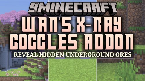 Wan's X-Ray Goggles Addon (MCPE) Thumbnail