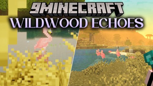 Wildwood Echoes thumbnail