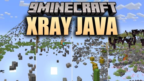 Xray Java thumbnail