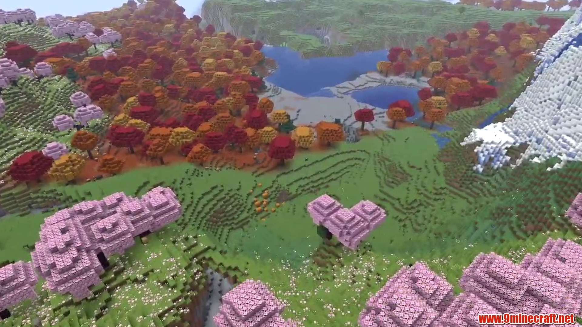10 Tree Types at Spawn - Minecraft seed -7625034752272868677