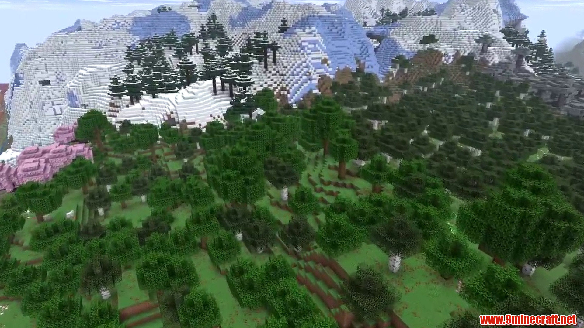10 Tree Types at Spawn - Minecraft seed -7625034752272868677