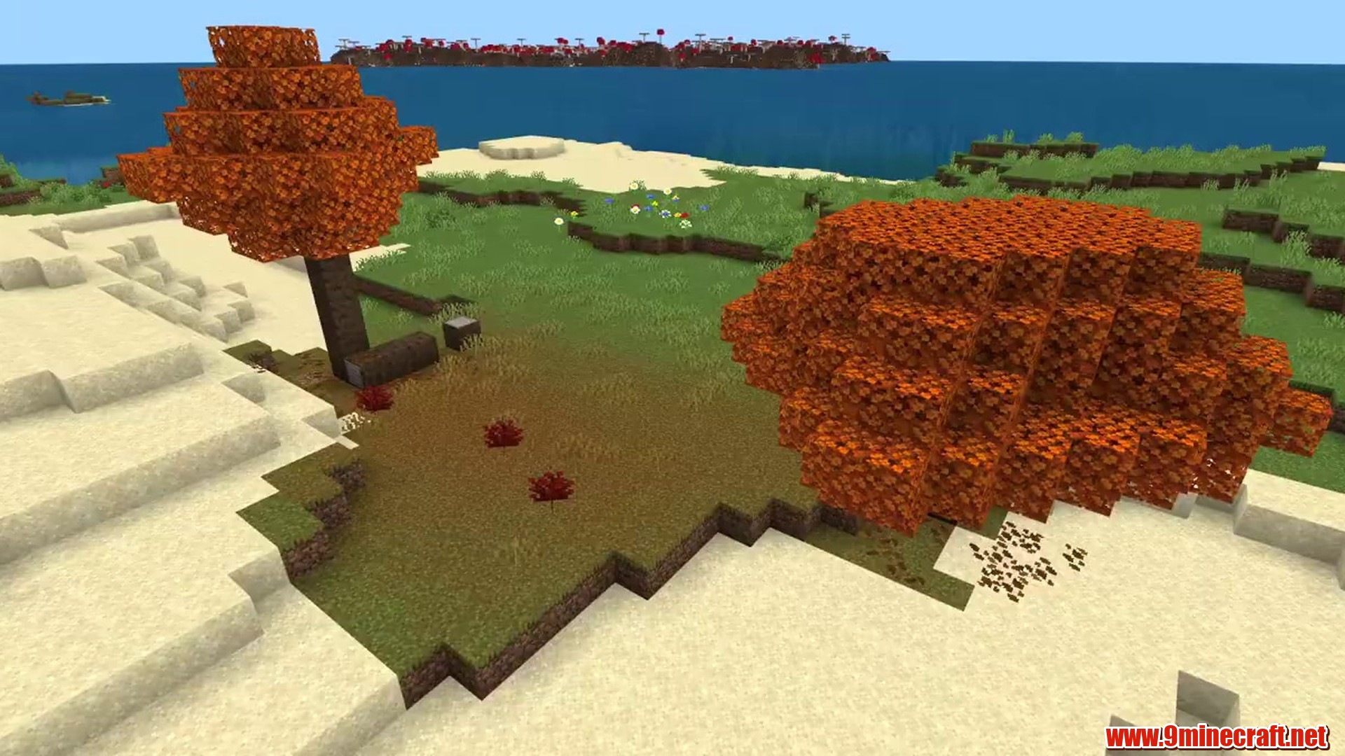 Survival Island Next to Rare Biomes - Minecraft seed 100000062592452769