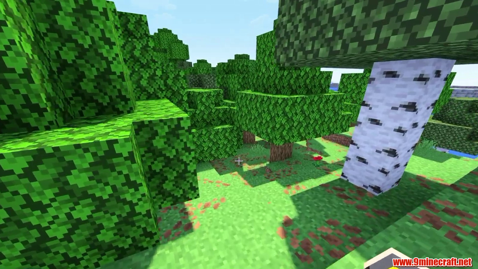 Continent Island - Minecraft seed 1607222117017849484