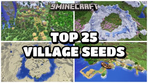 TOP 25 Village Seeds (26.2) Thumbnail