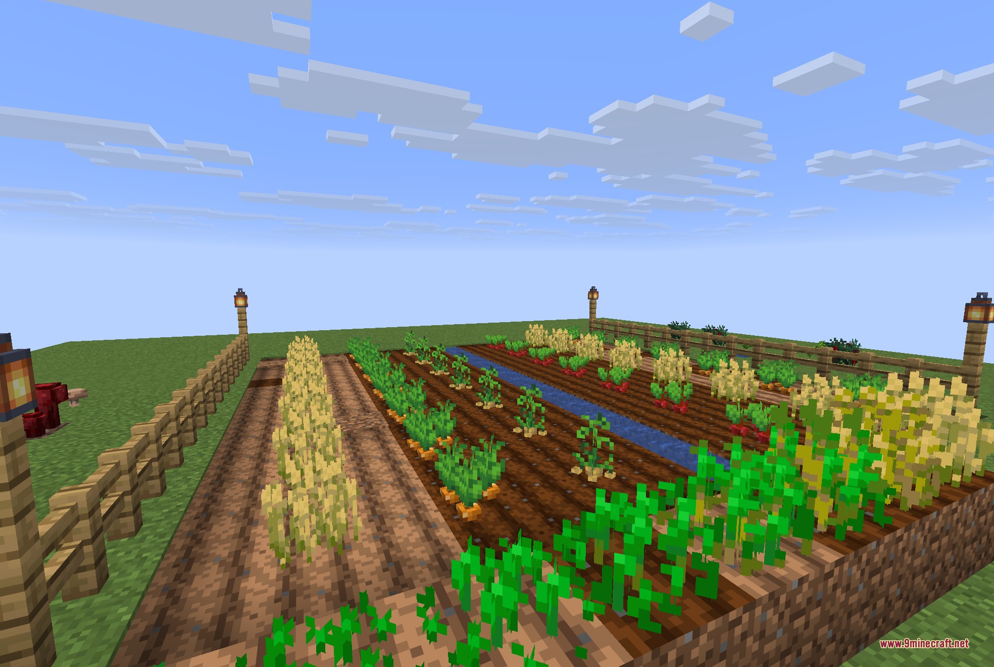 A large farm field with various 3D crops growing in rows near water