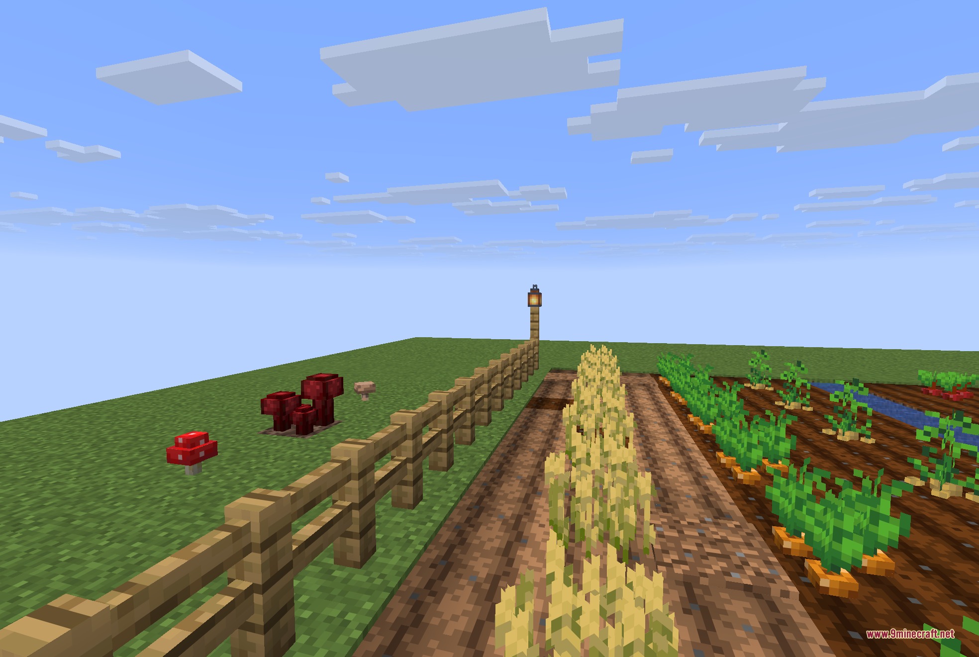 Detailed 3D wheat and carrots grow in rows next to a wooden fence