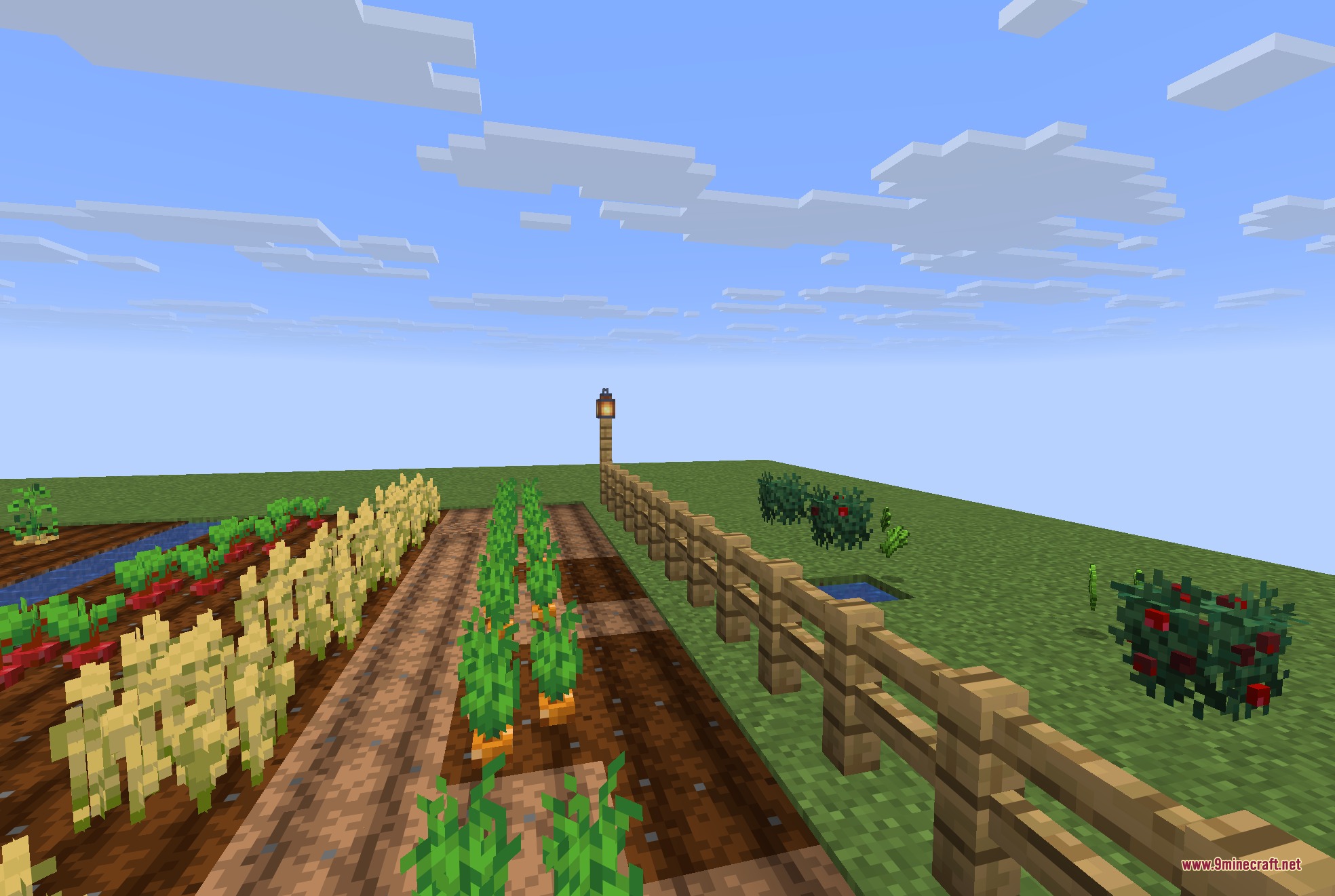 A Minecraft farm showing 3D models of wheat and carrots in a field