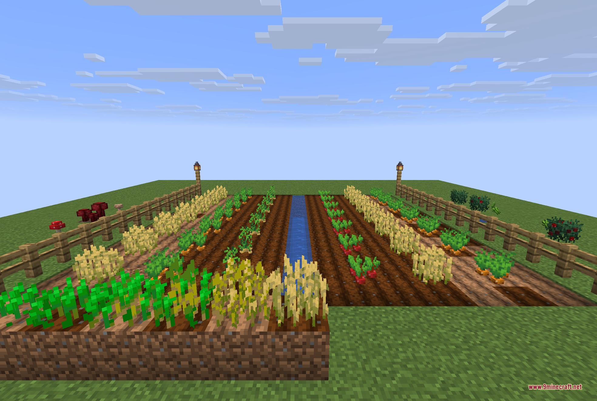 Detailed 3D models of wheat and vegetables growing in a Minecraft farm field