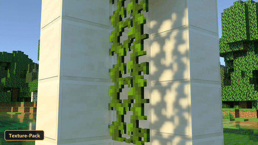 vines on a white pillar with sunlight and shadows