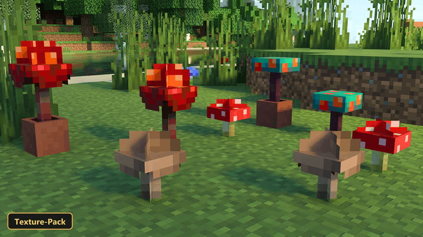 different mushroom types in a grassy field with trees