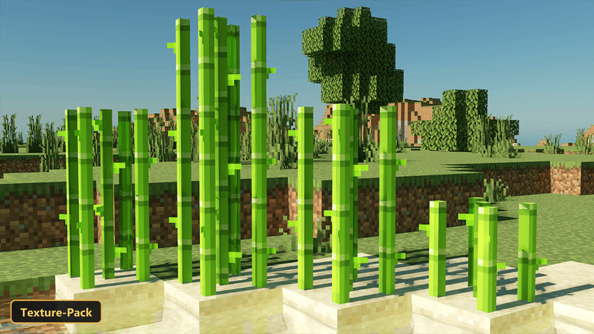 sugarcane blocks in a desert biome under a clear sky