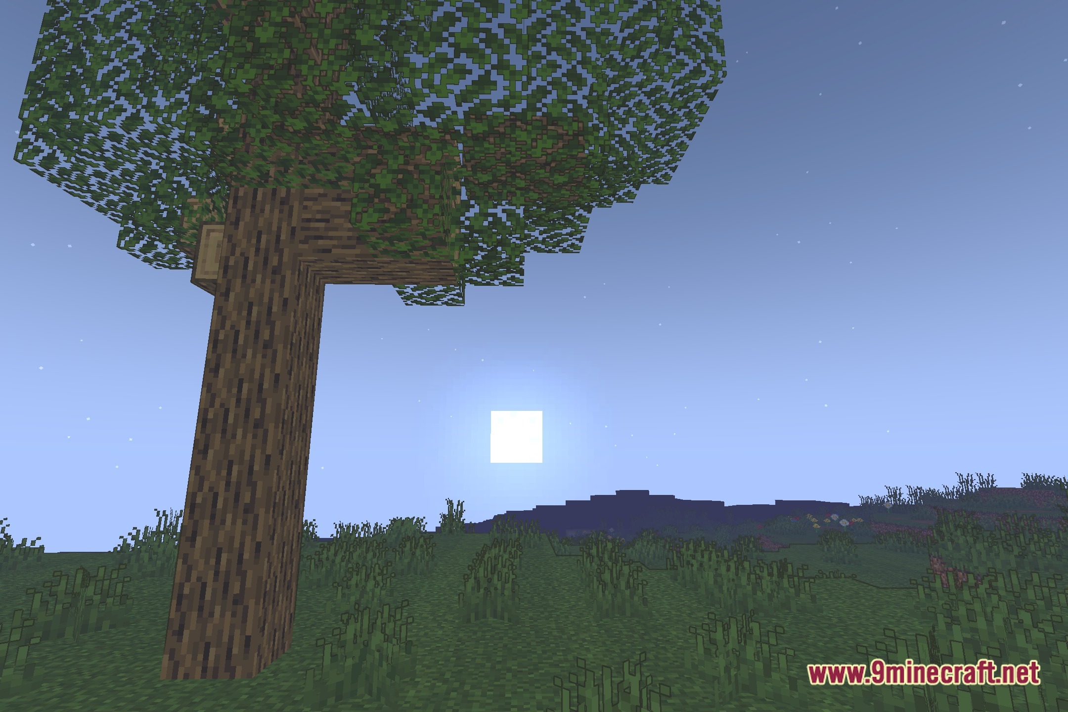 A Sluggy Hike Shaders Screenshot 4