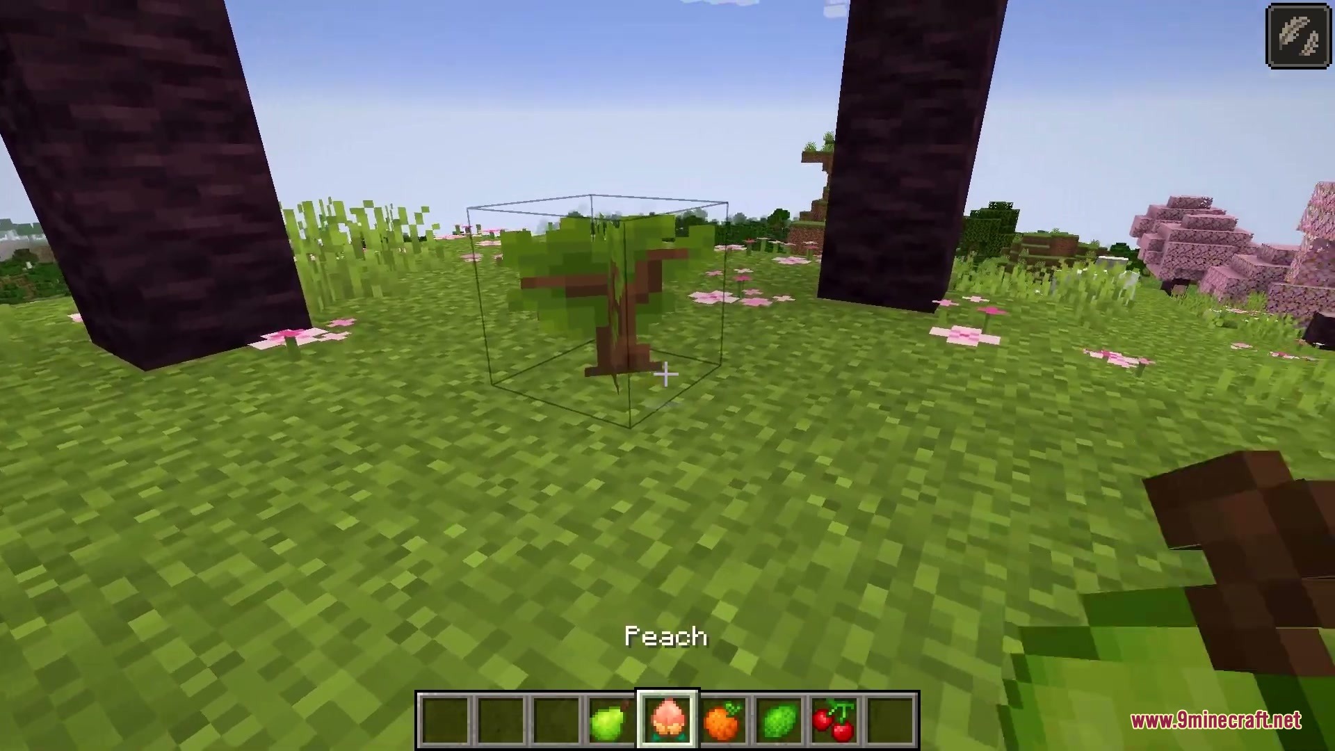 Abundant Harvest Table Mod Screenshot 4 Player holding a peach next to a newly planted fruit tree sapling