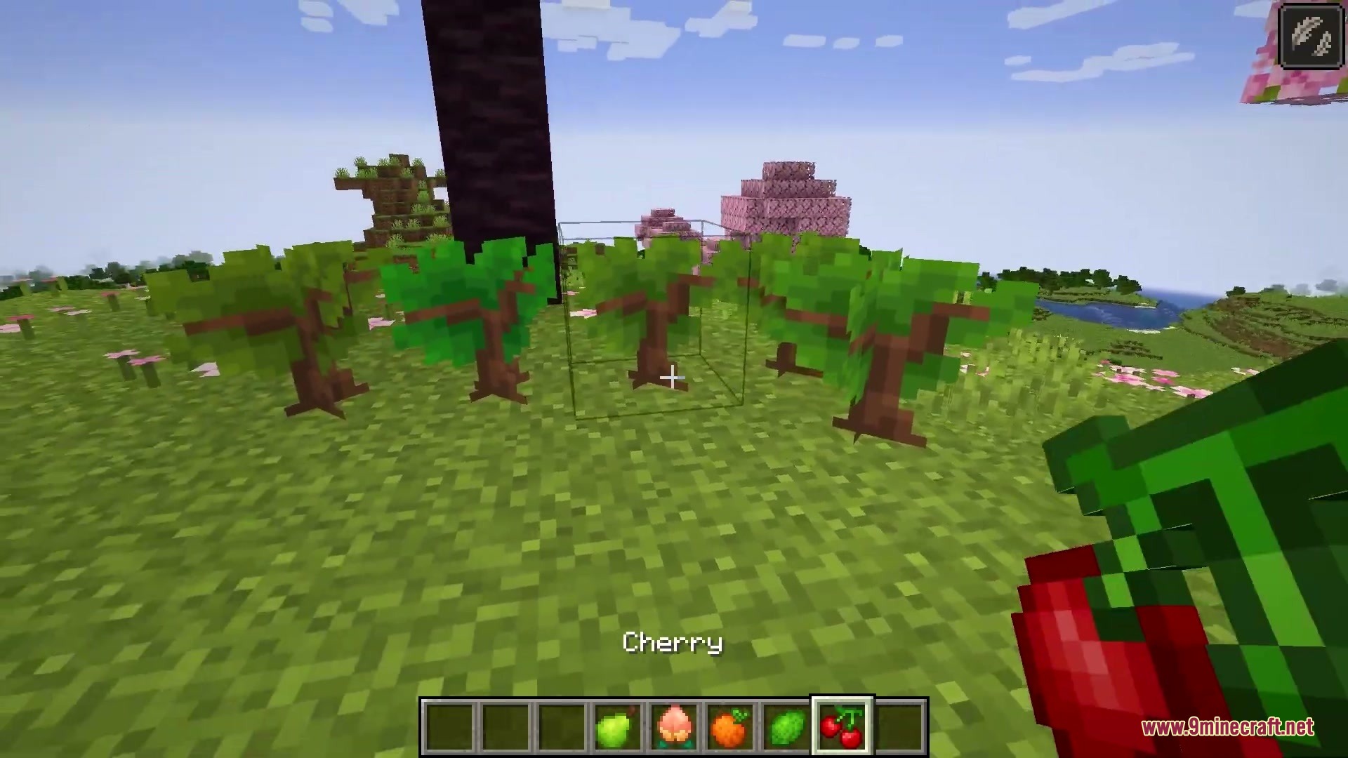 Abundant Harvest Table Mod Screenshot 5 A player holding a cherry item near several newly planted fruit tree saplings