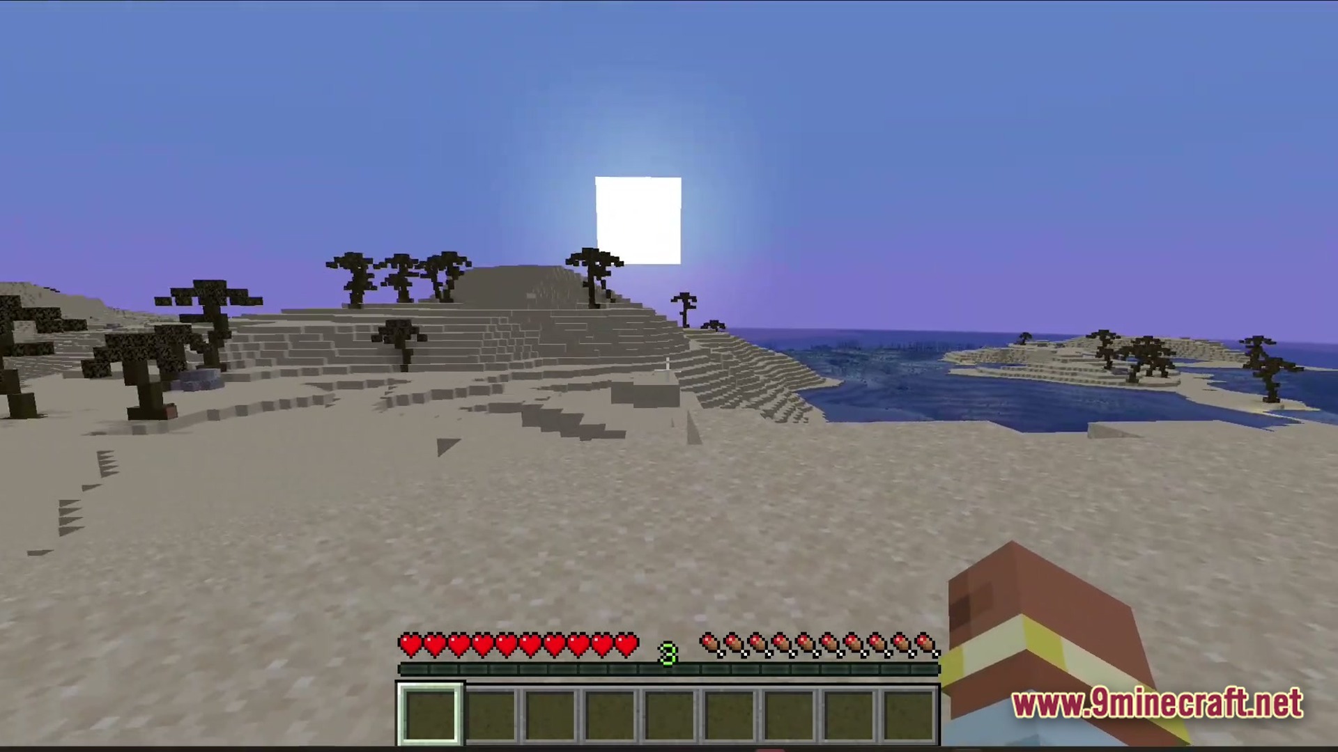 Abyssal Tide Rising Modpack Screenshot 3 A first-person perspective of a sandy beach biome with sparse trees under a bright square sun